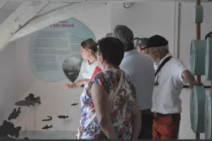 Une soirée au musée