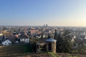 Initiation au trail, découverte sportive de Rouffach