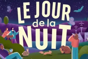 Le jour de la nuit à Bibracte