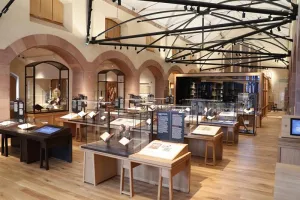 Visite guidée de l'exposition temporaire