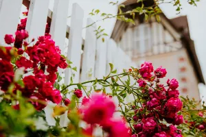 Remise des prix : Concours des Maisons et Balcons Fleuris