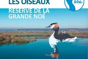 VAL de REUIL 27 : Animation ornithologique du GONm