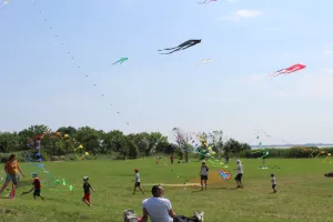 Fête du Vent à Terres d'Oiseaux