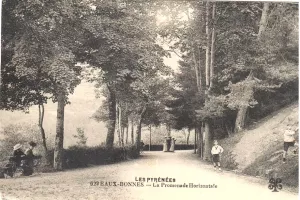 Randonnée sur la Promenade Horizontale des Eaux Bonnes : l'histoire de la forêt pyrénéenne et des arbres de l'Impératrice