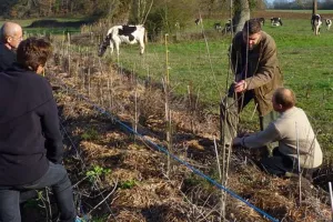 Réunion d'information - plantation de haies