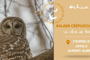 BALADE CREPUSCULAIRE À JAVOLS