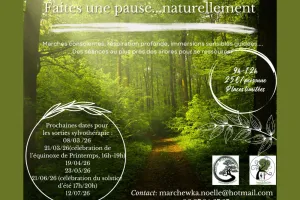 Sortie sylvothérapie : les bienfaits des arbres sur notre santé