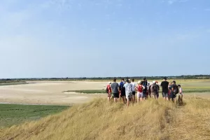 Sortie nature : Traversée du havre de Surville
