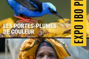EXPOSITION IBO PHOTO "BALSSA"