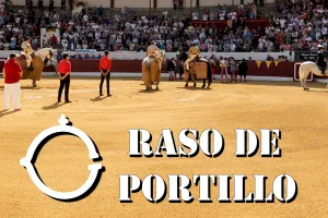 Novillada du 1er mai à Aire sur l'Adour