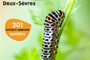 SORTIES NATURE : SCIENCES EN FAMILLE : LES HÉRISSONS
