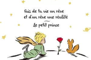 Stage DIY : « Il était une fois Le Petit Prince »