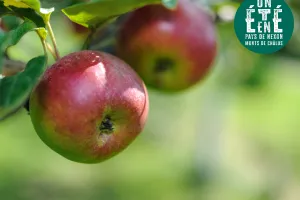 À la rencontre des producteurs - La pépinière Des racines pour demain