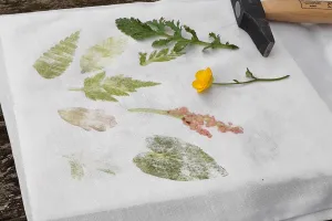 Atelier "Impression végétale"