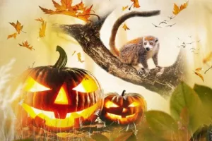 Halloween à la Haute-Touche