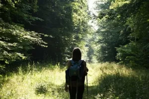 Histoire, légendes & forêt