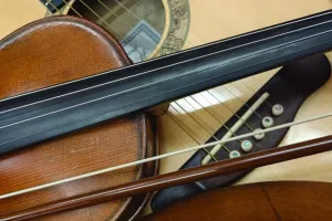 The green ladys and the guys : Atelier de musique irlandaise