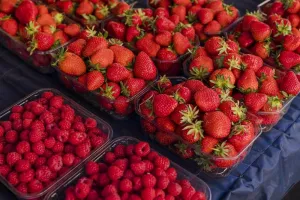 Marché des producteurs de Montagne