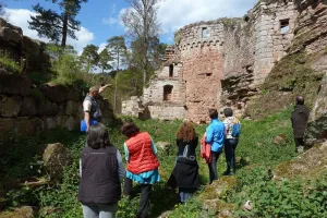 Visite guidée du château du Schoeneck