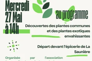 Sortie Nature