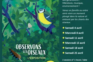 Exposition interactive : Observons les oiseaux !