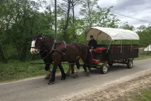Balade avec un âne bâté