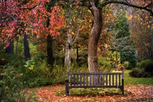 Concours photos : Automne