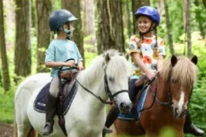 Stages d'été à poney avec Les Paladins de Saint-Agnan