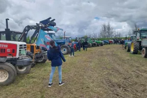 Tracto 'Pomme Rocroi