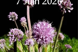 Fête des plantes à Lamontjoie