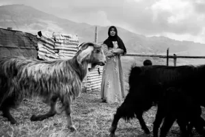 Exposition TEMPORARY LAND