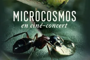 Ciné concert Microcosmos, le peuple de l'herbe