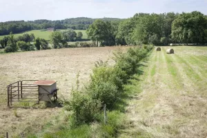 Des arbres et des champs, agroforesterie, visite de terrain à Reyrevignes