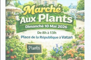 Marché aux plants
