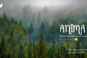 Séjour attentionnel