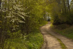 Journée randonnée pédestre