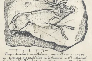 Visite au musée : les salles de la préhistoire