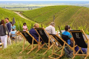 ALSACE ROCKS ! La Tournée des Terroirs - Etape #1