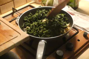 Cuisine sauvage, cueillette et dégustation