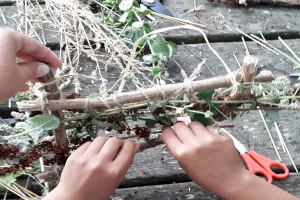 Initiation au tissage végétal