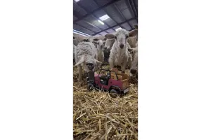 Randonnée gourmande en quadricycle électrique avec E-Pottok et découverte de la Ferme Ametzalde