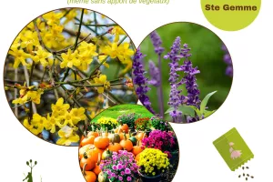Bourse aux Plantes