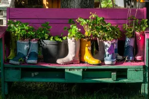 Un jardin à la médiathèque