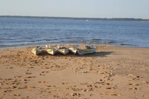 Initiation au kayak de mer dans le delta du Bassin d'Arcachon