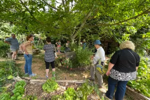Rendez-vous aux jardins 2026 : jardin de Marguerite