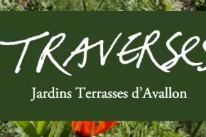 Visite jardins terrasses - Le petit peuple des mares