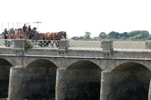 Balade attelée à Port-Bail