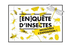 Exposition "En[quête] d’insectes" - Carrefour des Sciences et des Arts