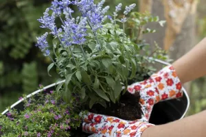 La Maison du jardinier et de la nature se déplace dans votre quartier !