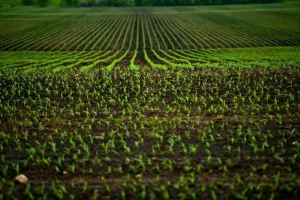 Journée de l'agriculture